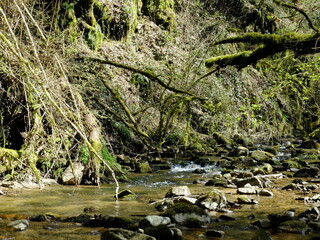 Tours de Merle et Carbonni&egrave;res (Corr&egrave;ze)