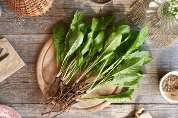 Dandelion leaves with roots on a table
