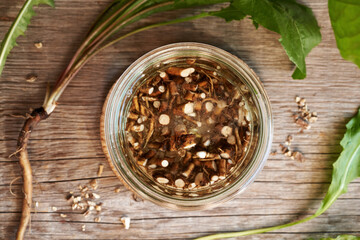 Preparation of homemade herbal tincture from fresh dandelion root