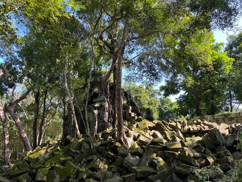 Beng Mealea, Angkor ruins, Siem Reap, Cambodia