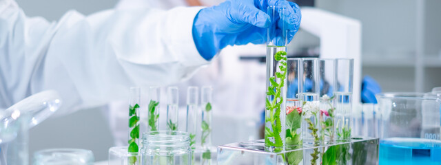 Scientist picking up sample plants in test tube. Concept of botanical, chemistry, ecology and...