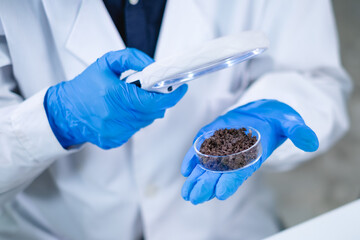 Scientist use magnifying glass to analyze soil, fertilizer or dirt sample. Biotechnology, agricultural, and geology laboratory. Exploration and developing quality of soil. Pollution and chemical test - obrazy, fototapety, plakaty