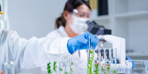 Close up look of an eco or botany and plants test tube or glassware and Scientist is holding and...