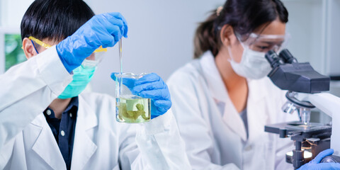 Concept of algae, algaculture and seaweed in laboratory. Researcher or scientist is working with...