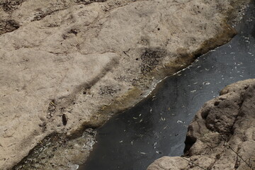 Río 
Río seco, con agua estancada