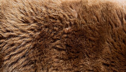 fur texture background