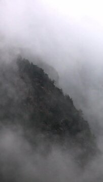 Mountain covered in fog with trees appearing