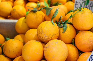 Fresh ripe sicilian oranges citrus fruits on market close up
