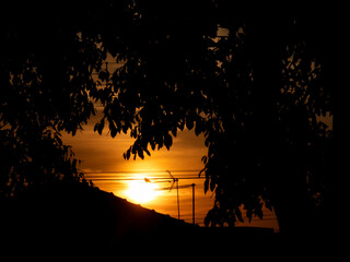 Sunrise, beautiful silhouettes formed in the beautiful colors of sunrise in the city, natural light, selective focus.