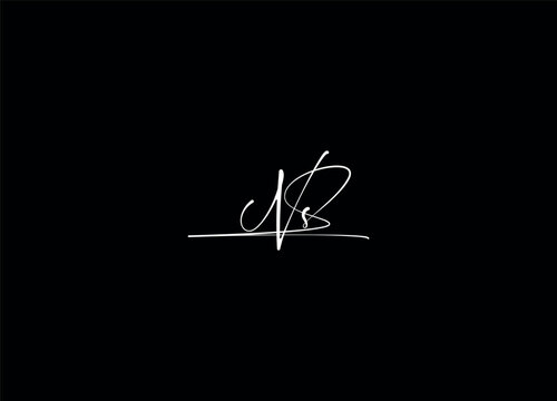 NS letter logo design and monogram logo