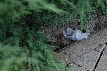 Close-up of a transparent plastic bag in a park, rubbish in a park, human impact on nature 