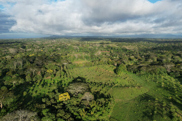 Fototapeta na wymiar Green tropical landscape with farm