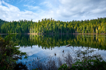 Beautiful forest Brown Lake. Scenic west coast rainforest. Hiking Trail in Skookumchuck Narrows Provincial Park. Sunshine Coast, British Columbia, Canada