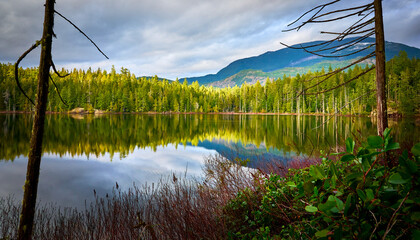 Beautiful forest Brown Lake. Scenic west coast rainforest. Hiking Trail in Skookumchuck Narrows Provincial Park. Sunshine Coast, British Columbia, Canada