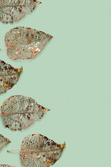 Red brown skeletonized leaf as background, autumn leaves pattern. Beauty nature concept. Fall season botanical pattern from close up foliage natural texture, vibrant color vein of leaves