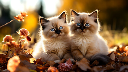 Naklejka na ściany i meble Two kittens lying together on green grass under autumn leaf. AI Generated