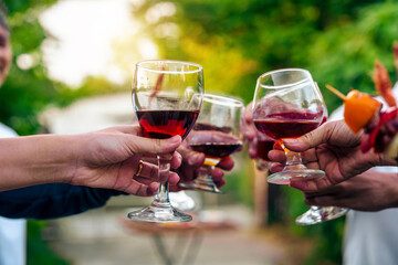 Home Garden BBQ Party, Wine Glasses Clink in Family Toast, enjoying harvest time together outside at front of house, grandfather and grandfather asian people, man and woman