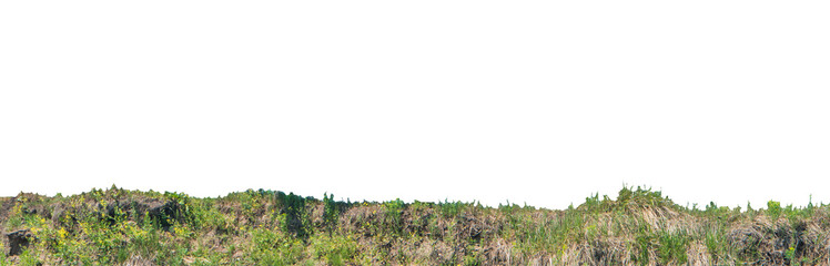 Ground land with green grass in PNG isolated on transparent background