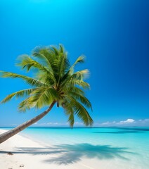 Fototapeta na wymiar Coconut tree on white sand beach with turquoise water and beautiful clear blue sky
