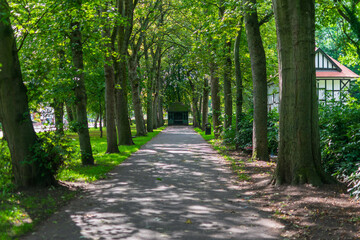 path in the park