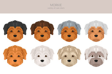 Morkie clipart. Maltese Yorkshire terrier mix. Different coat colors set