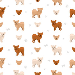 Pomapoo seamless pattern. Pomeranian Poodle mix. Different coat colors set