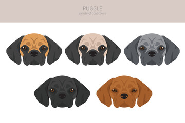 Puggle clipart. Pug beagle mix. Different coat colors set