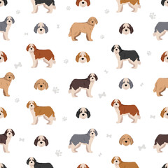 Saint Berdoodle seamless pattern. Saint Bernard Poodle mix. Different coat colors set