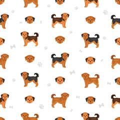 Shorkie seamless pattern. Shih-Tzu  Yorkshire terrier mix. Different coat colors set