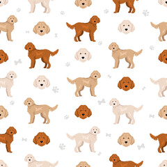 Whoodle seamless pattern. Wheaten terrier Poodle mix. Different coat colors set