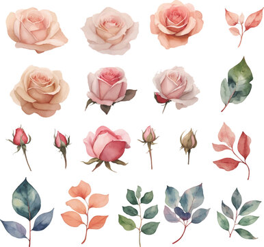 Watercolor Flower Clipart Set: Watercolor Flower Illustrations for Bridal Design, Wallpaper, Greetings, Wallpaper, Fashion
