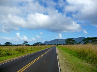 Fototapeta na wymiar scenic view of landscape along Cane Road near Lihue on Kauai