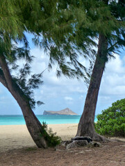 scenic view of Waimanalo Bay Beach Park on Oahu