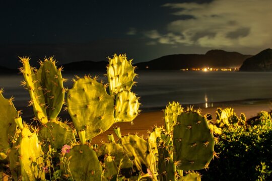 Geriba at night