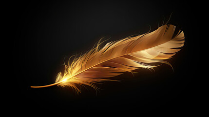Shiny single golden feather with spark of light on dark background