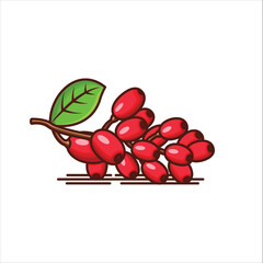 A Bunch of Red Berberine Fruit Icon- Vibrant Vector Illustration