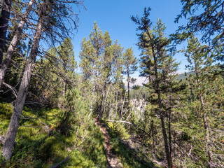 Spöltal in the swiss national park