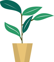 Decorative Potted Plant