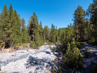 Fototapeta premium River bed in the swiss national park