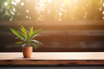 A wooden table with a blurred indoor green plant foreground and a leaf shadow on the wall, illuminated by warm lighting from a window. Panorama banner mockup for product showcase. Generative AI