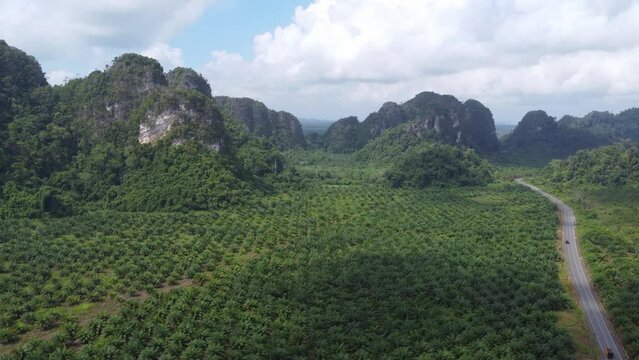 Extensive oil palm plantations in the rock mountain area in Indonesia with the sky as a backdrop
