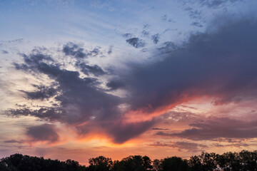 Clouds over treelike at twilight.