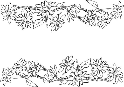 Chamomile flowers frame with leaves. Monochrome graphic line drawing. Vector image. Drawing by hand. For the design of websites, business cards, labels, printing posters on textiles and dishes. Vector