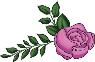 vector pink rose flower, decorative flower for wedding invitations. floral vector decoration element