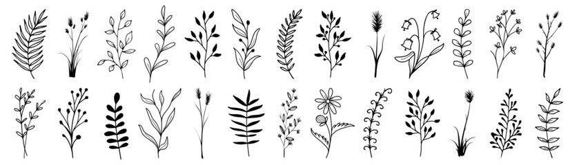 Floral branch collection. Hand drawn floral branch for wedding decoration. Set of flowers, leaves, branches element. Decorative floral branch