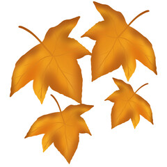 Set of beautiful autumn leaves watercolor Excellent design for decorating a variety of items.