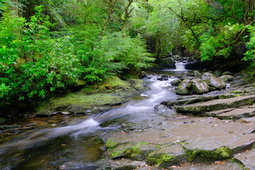 Obraz premium Torc waterfall in the famous Killarney national park, Kerry County, Ireland, Europe