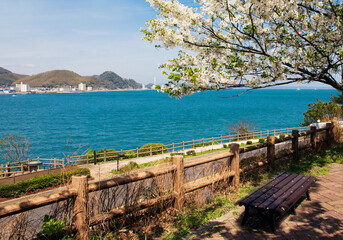 Empty viewing seats, Mojiko Port, in the spring when cherry blossoms are blooming, Kitakyushu City, Fukuoka Prefecture, Japan.