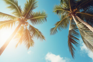 Fototapeta na wymiar Blue sky and palm trees view from below, vintage style, tropical beach and summer background, travel concept