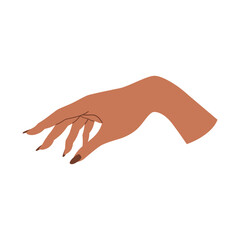 Woman Hand Illustration